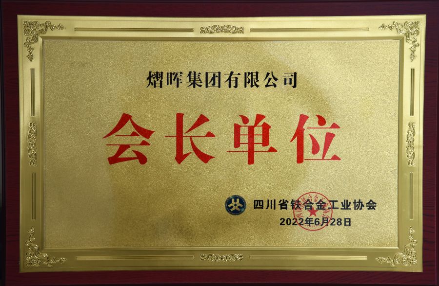 四川省铁合金工业协会会长单元.jpg